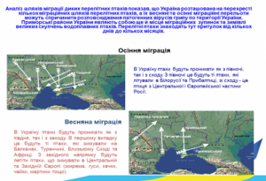 Рисунок2
