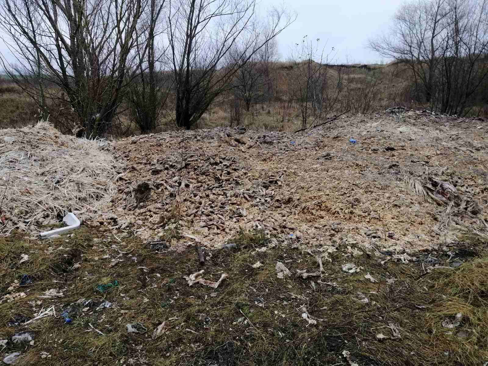 trash-1