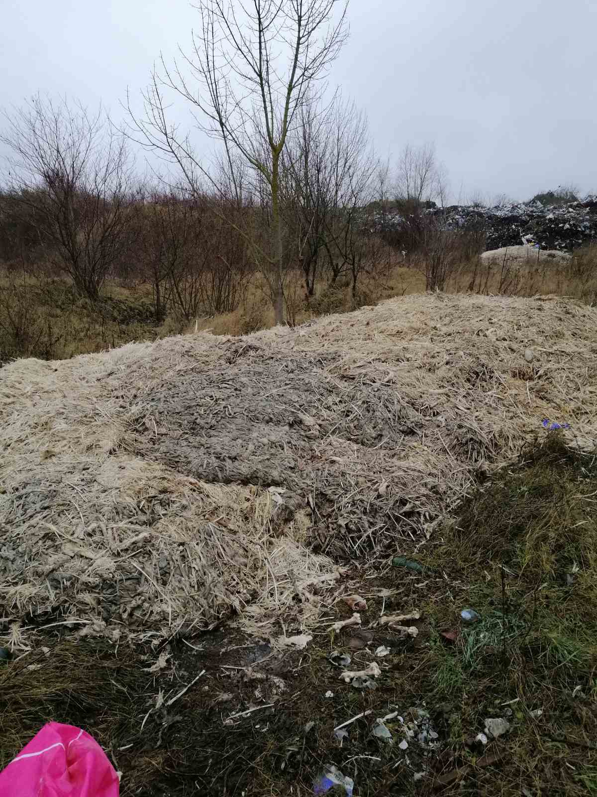 trash-3